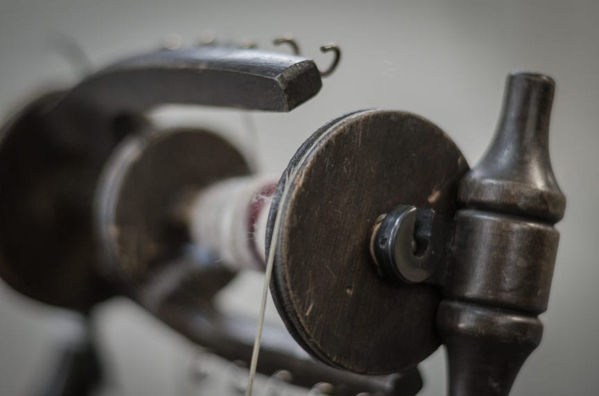 Photo by Dave Hill - https://images.davehillnz.com